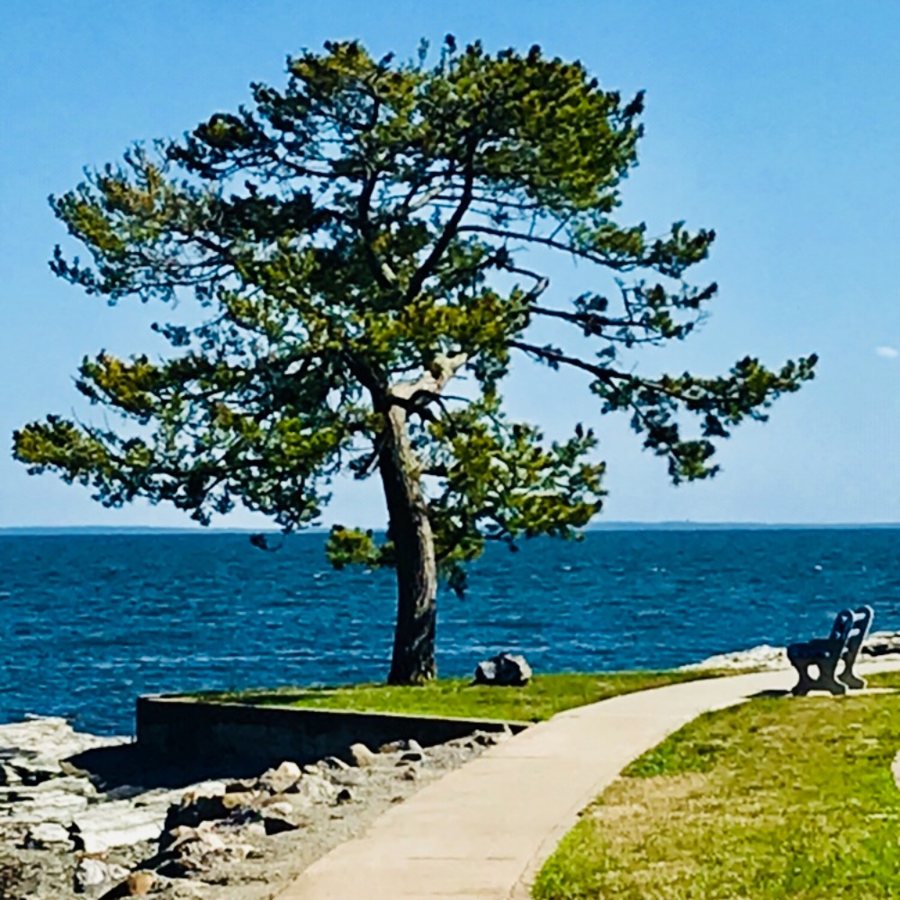 Meet your Posher, Jade